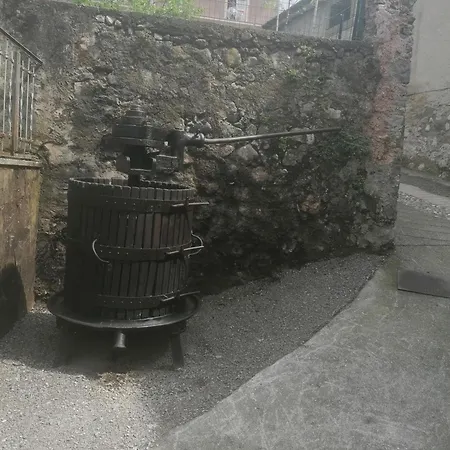 Allegra22 * سيل ماراسينو